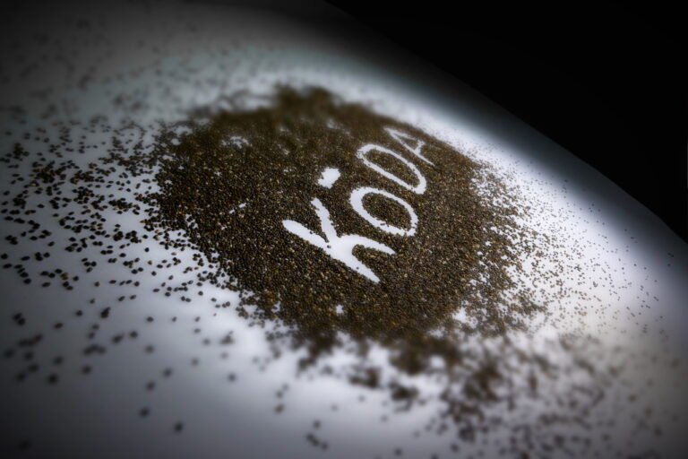 koda foods graphic chia seeds outline